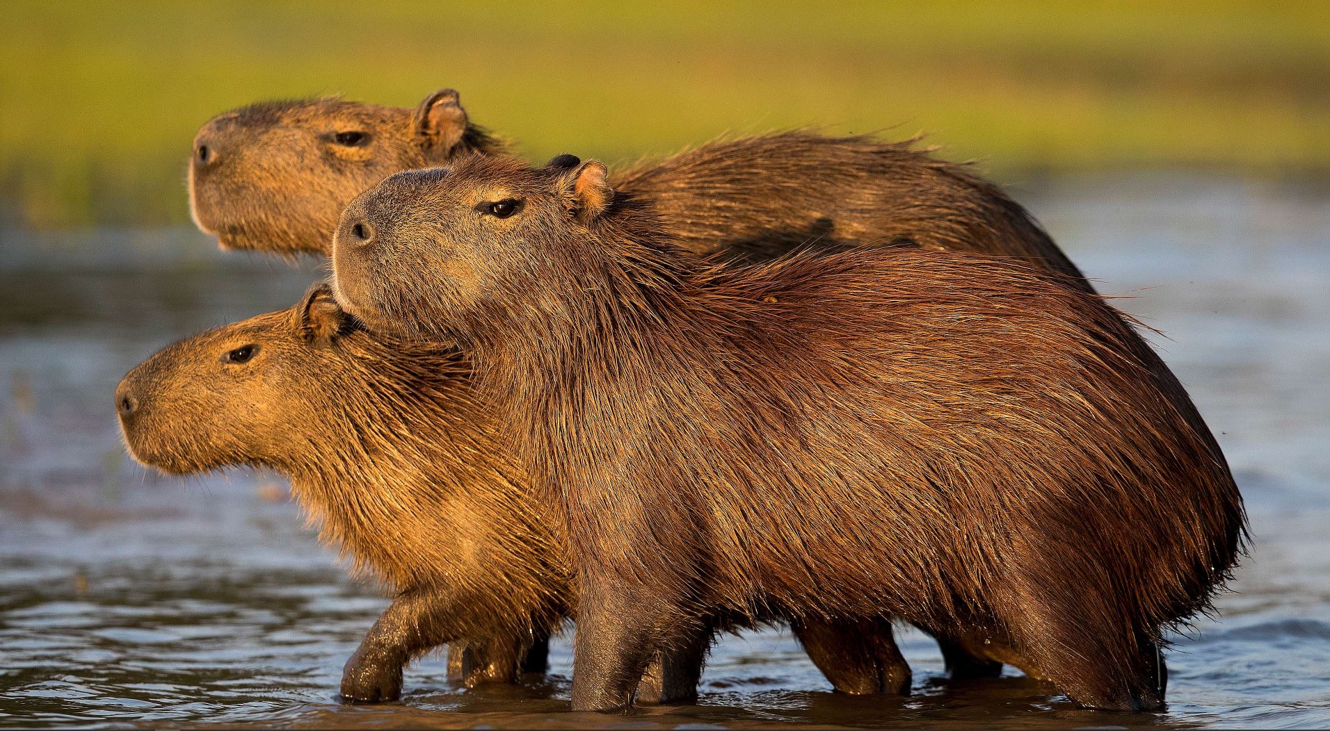 Hình ảnh của LẠI VĂN TÂN